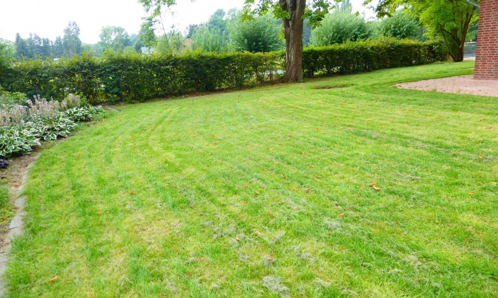 Ein absoluter Traum im Ruhigen und Grünen, Neubau!