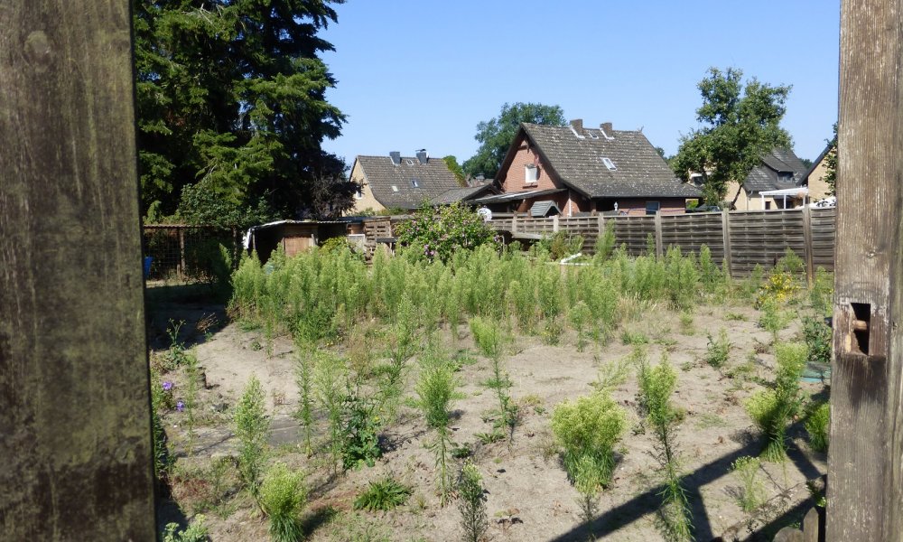 Handwerker und Baumarktbesucher willkommen!