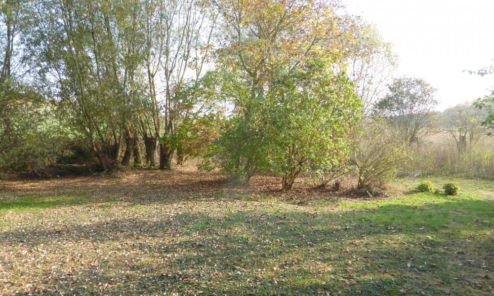 Kapitalanleger, Investoren aufgepasst!!