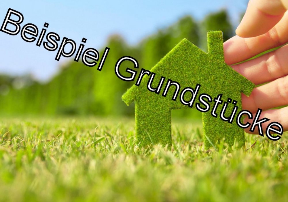 Hinterbebauung mitten in Schwarmstedt, Seltenheitswert!